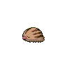 ninjask